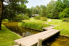 Bridge over tranquil stream