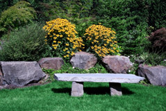 Bench seat in garden